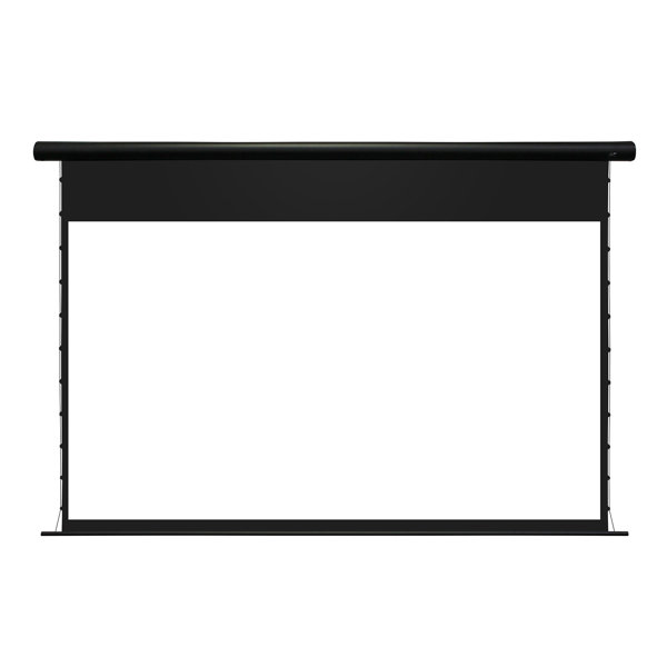 Elite Screens Outdoor Electric Projector Screen Projector Screen Wayfair